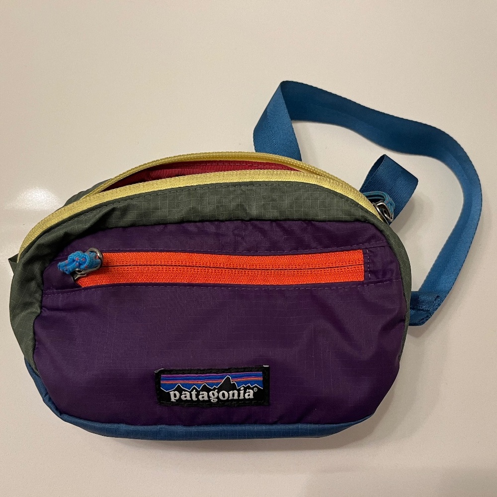 Patagonia Belt Bag